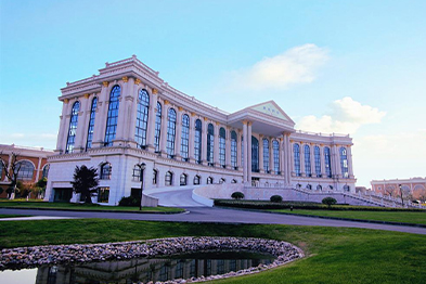 江蘇紫龍藥業(yè)有限公司