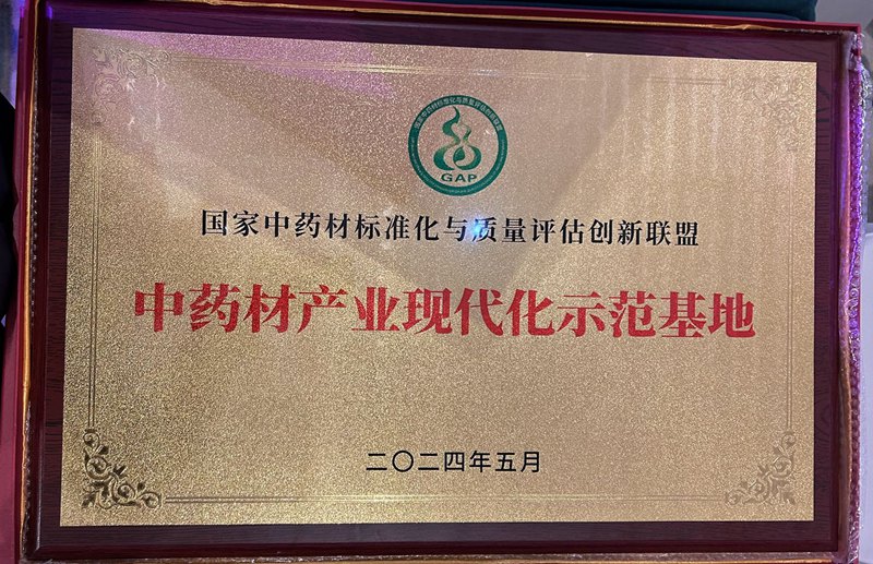 中藥產(chǎn)業(yè)現(xiàn)代化示范基地（2024）
